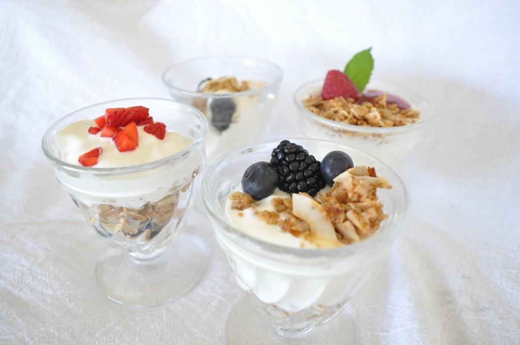 Yogurt, Gronola & Berries