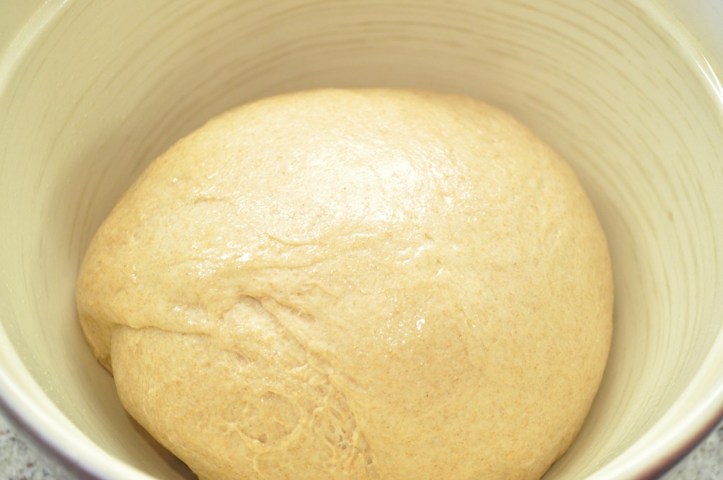 Rising in an oiled bowl